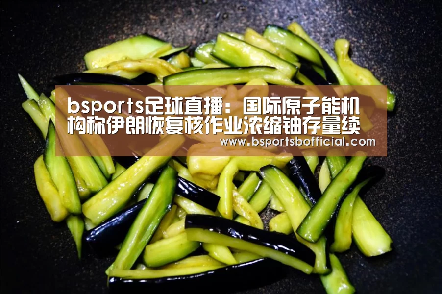 bsports足球直播：国际原子能机构称伊朗恢复核作业浓缩铀存量续增(图3)