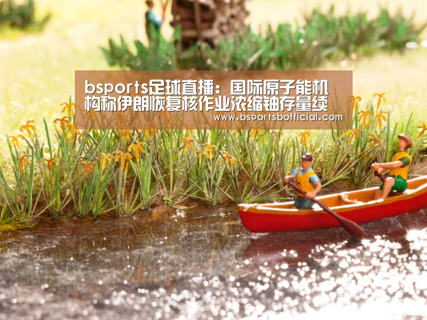 bsports足球直播：国际原子能机构称伊朗恢复核作业浓缩铀存量续增(图4)